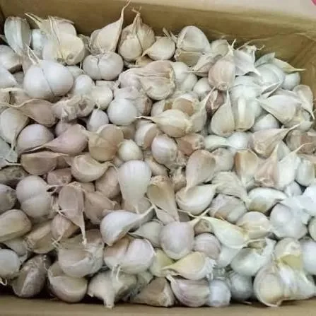 Bawang Putih Kating 1Kg